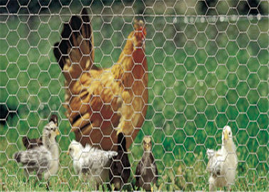 China A rede de fio sextavada soldada de grande resistência, PVC revestiu a rede de arame verde da galinha fornecedor
