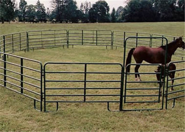 China cercas portáteis do cavalo da altura de 2.7m, estrutura forte painéis galvanizados da cerca do cavalo fornecedor